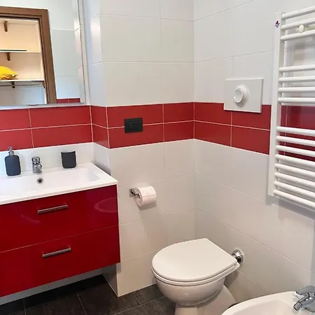 Solution Ripamonti * 米兰