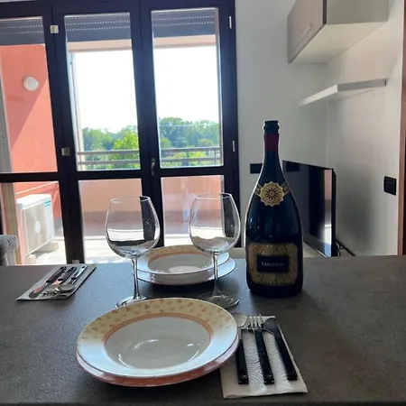 Solution Ripamonti *